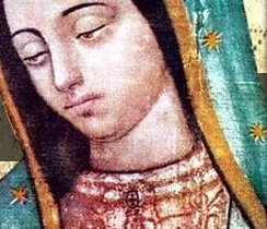 Peticiones – Una Rosa para Guadalupe 2018 – 2019